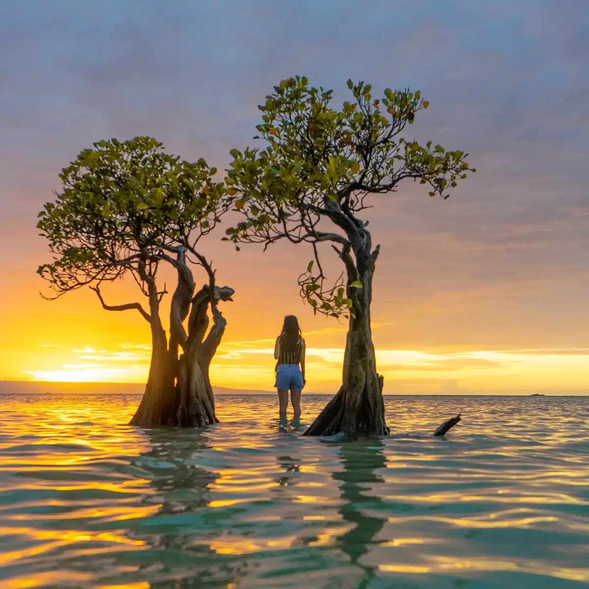 The Complete Sumba Guide for 2027