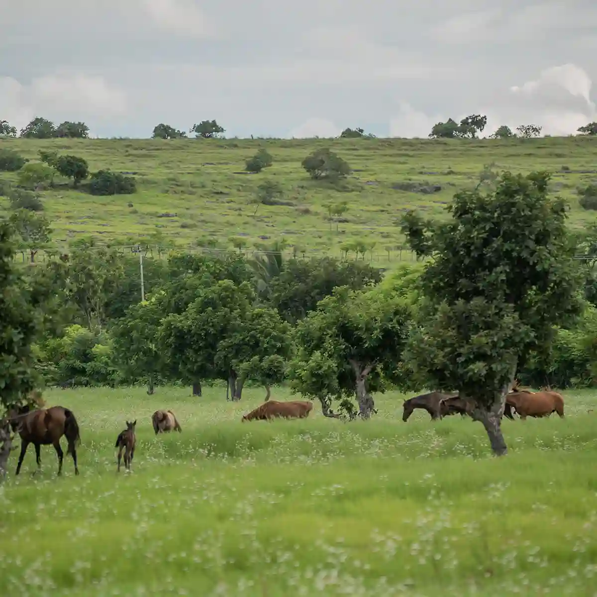 The Best Time to Visit Sumba